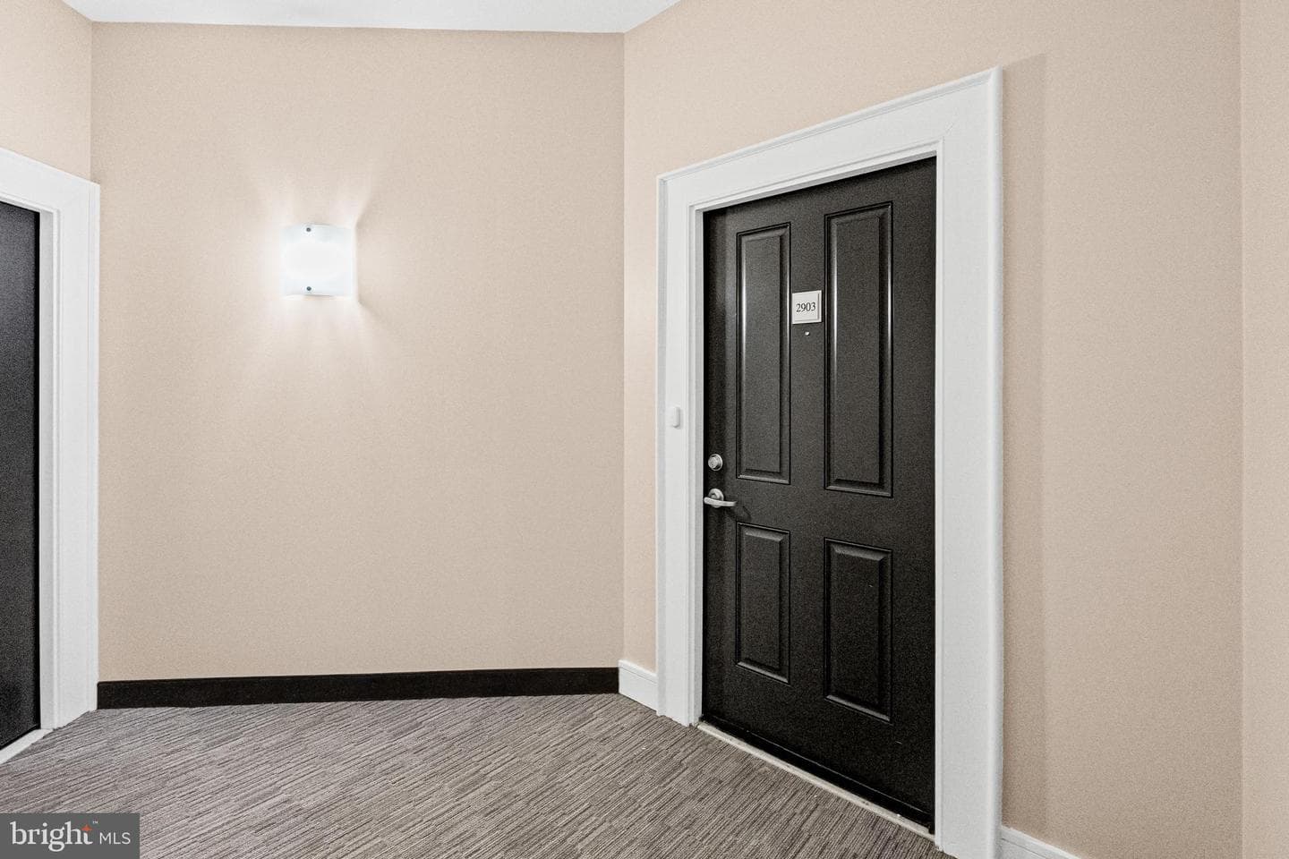414 Water Street #2903 photo 3