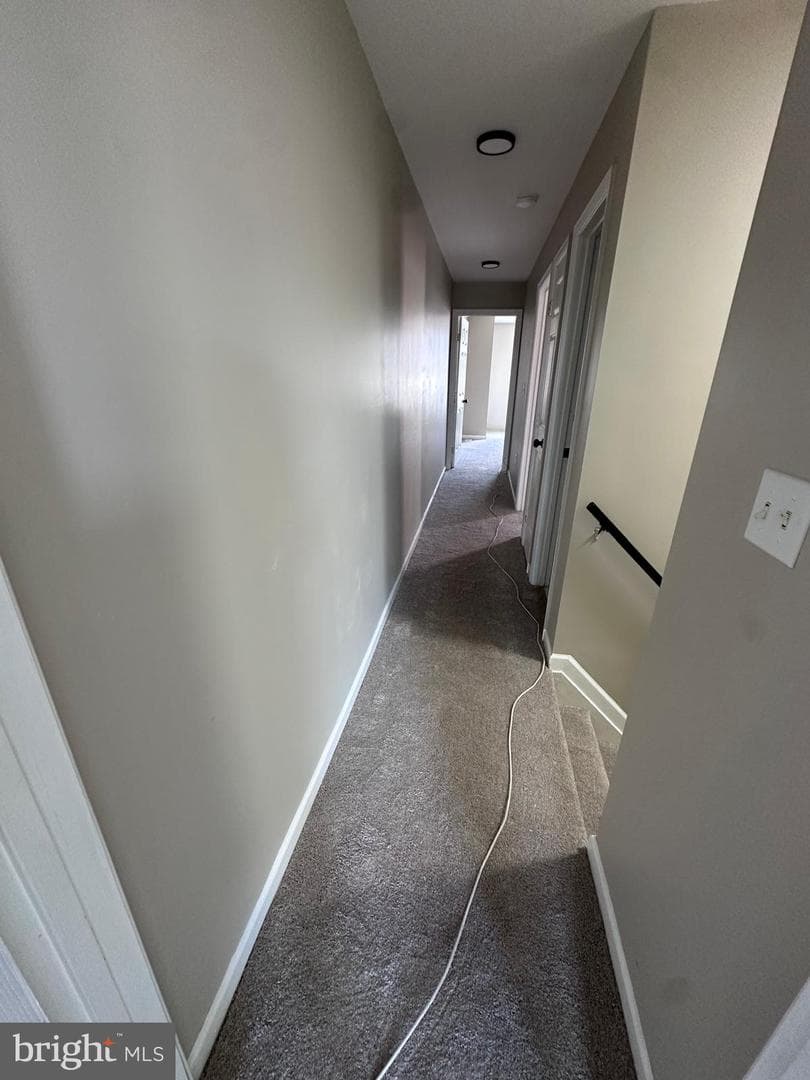 1202 E Lafayette Avenue photo 22
