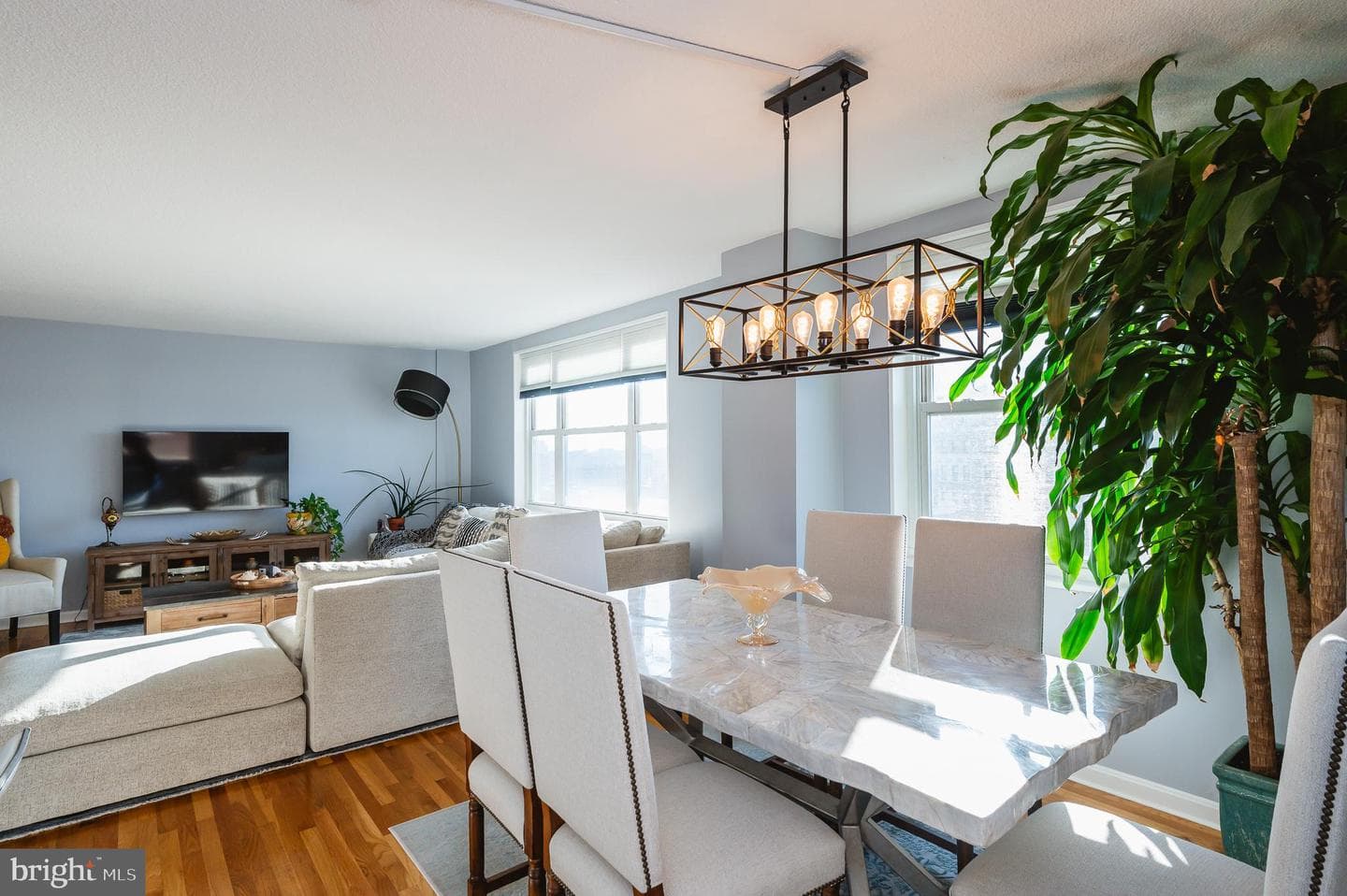 1101 Saint Paul Street #1504 photo 11