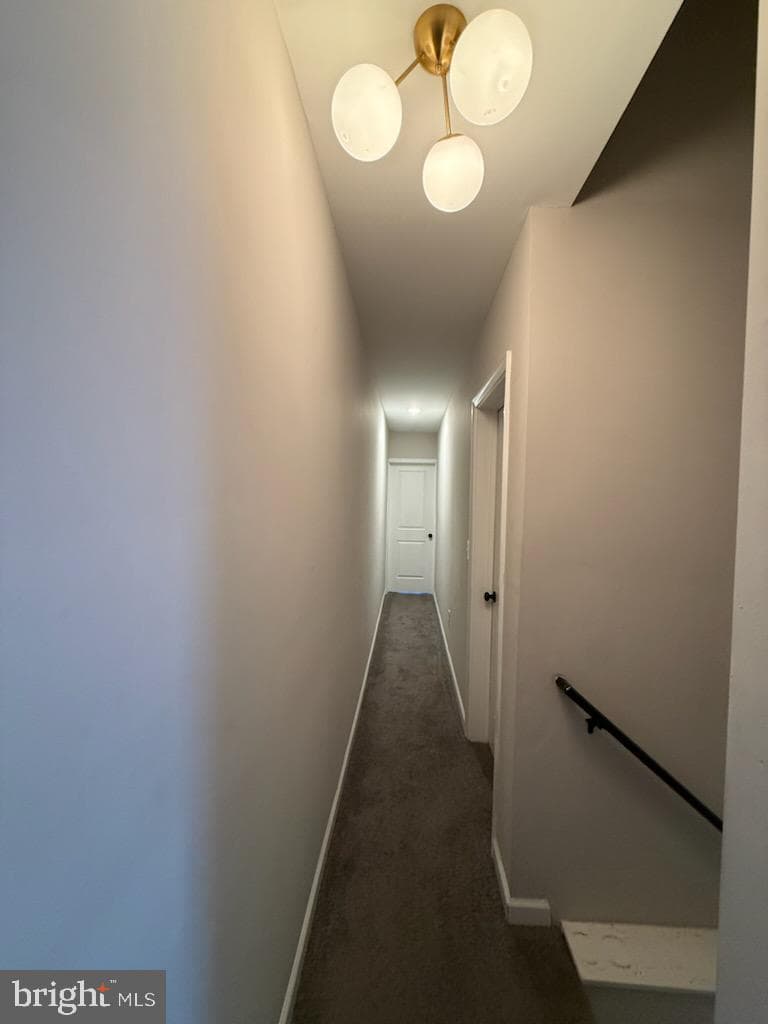 2954 Arunah Avenue photo 23
