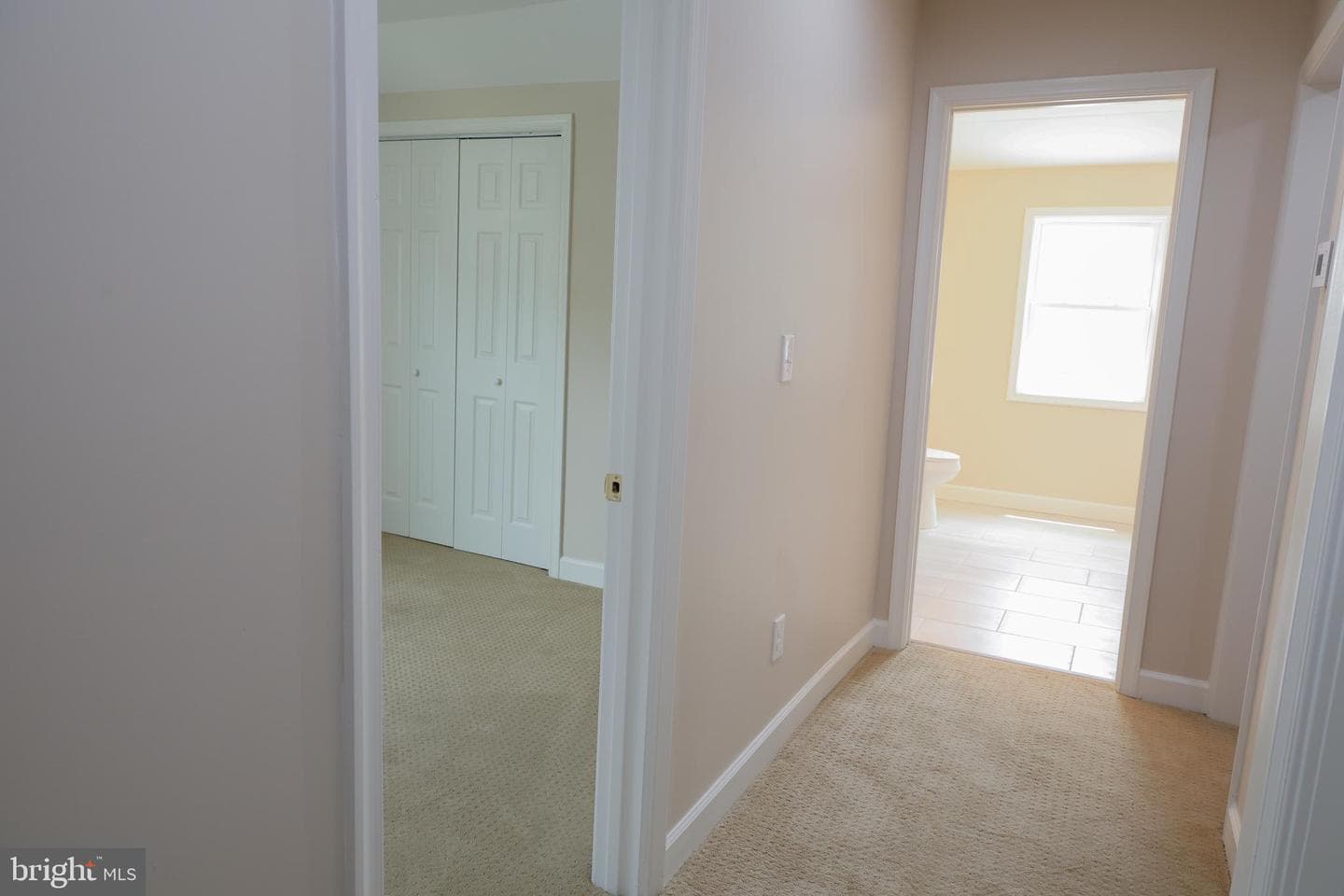 4413 Springdale Avenue photo 73