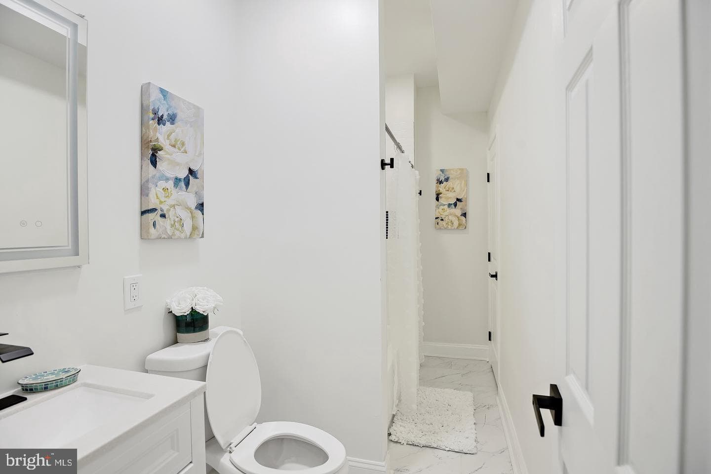 2024 Druid Hill Avenue photo 15
