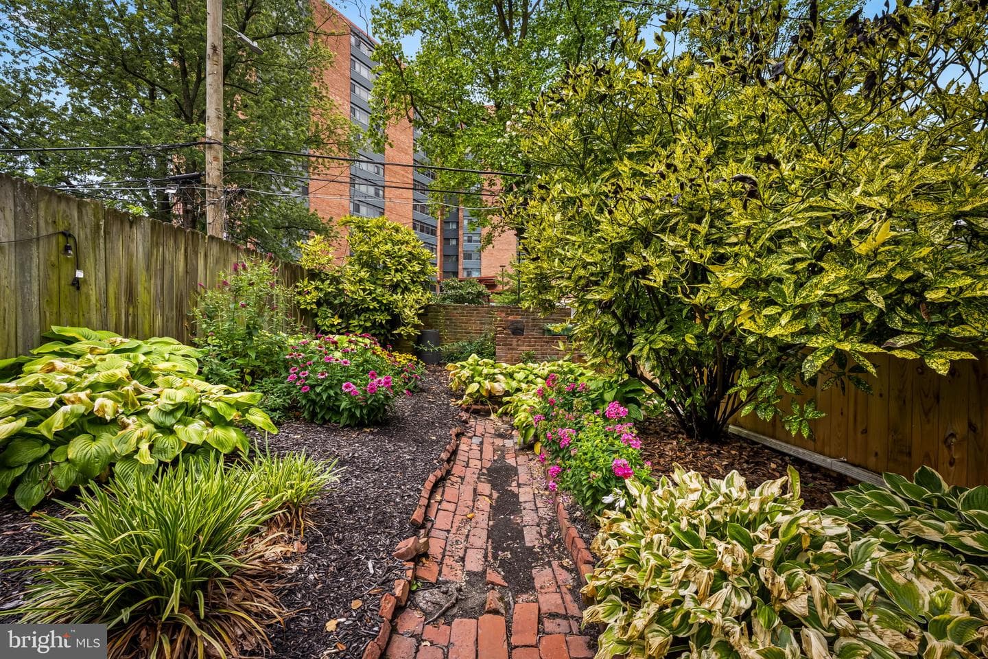 1522 Bolton Street photo 53