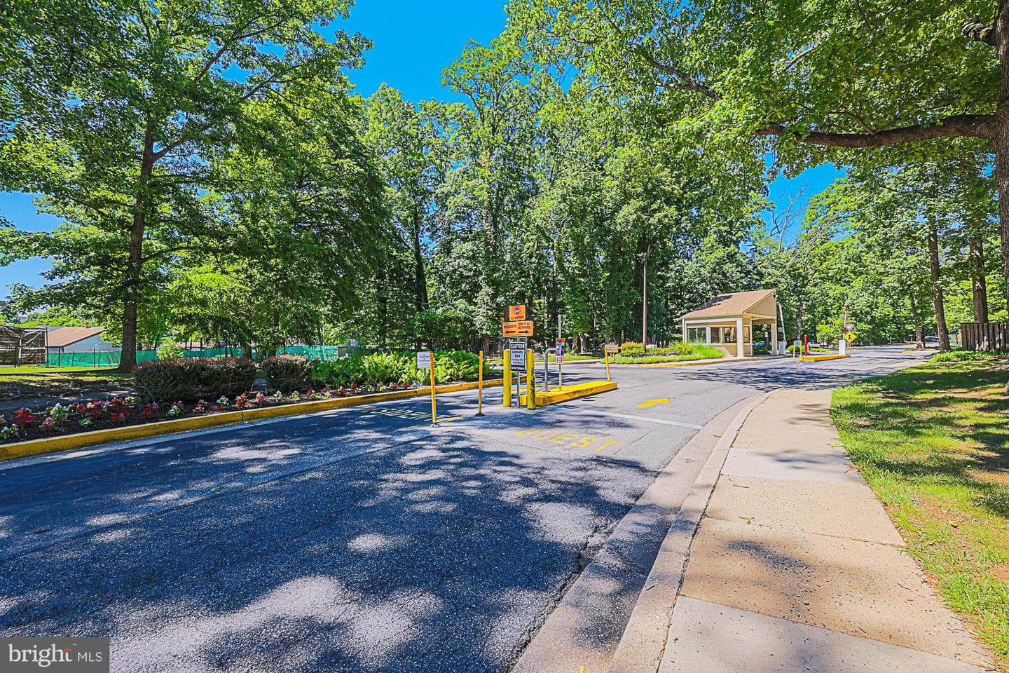 6300 Red Cedar Place #204 photo 4