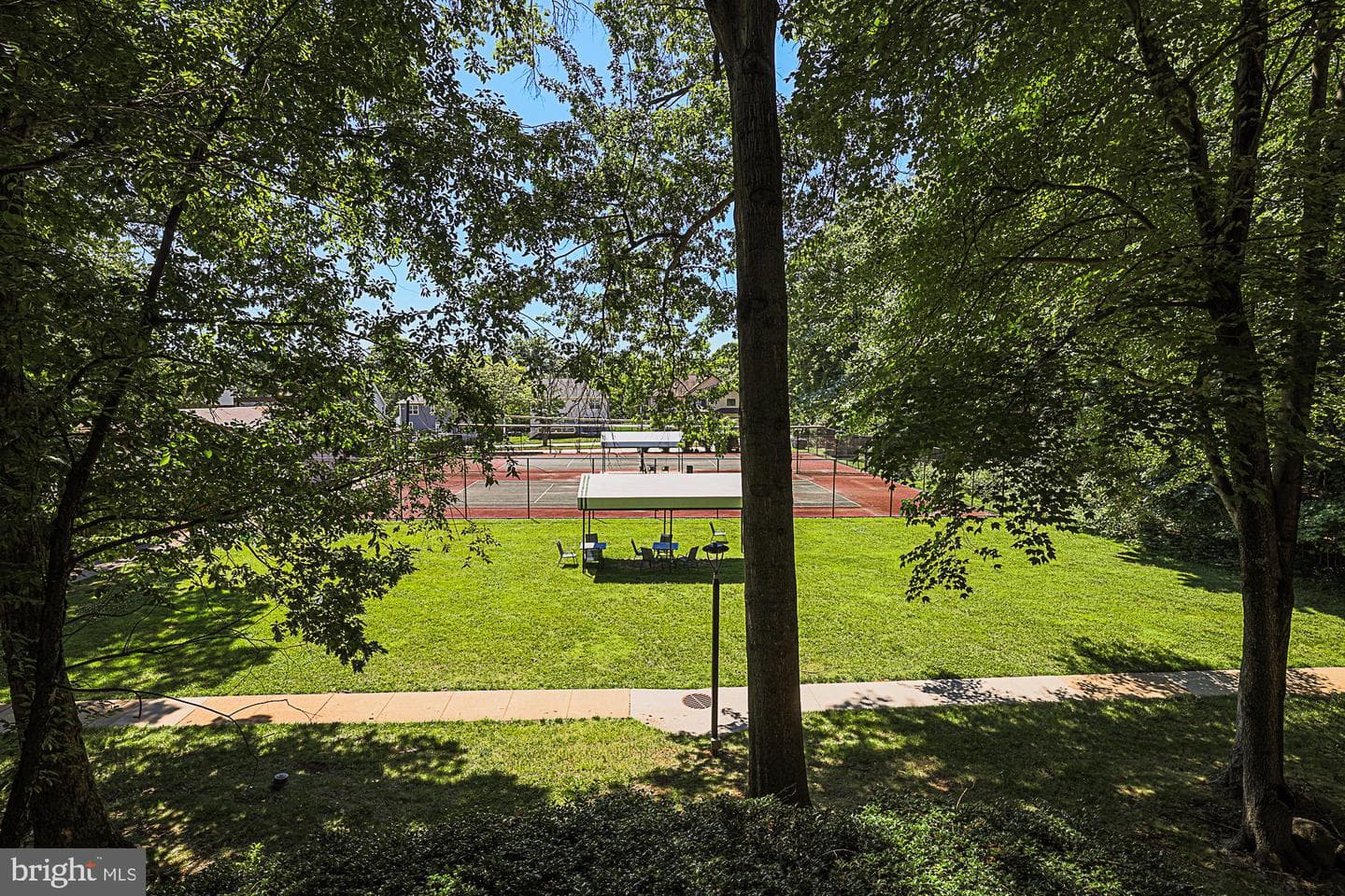 6300 Red Cedar Place #204 photo 41