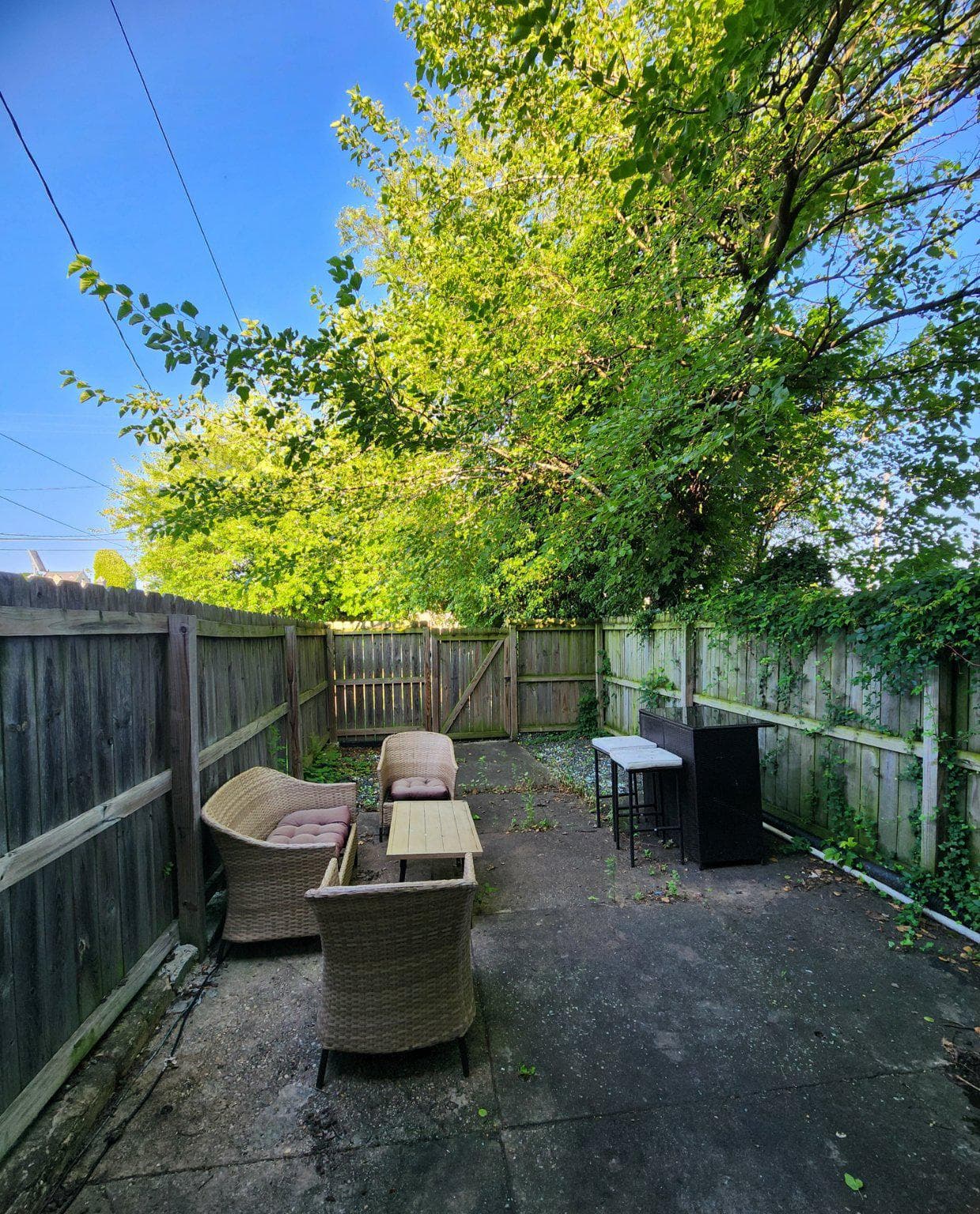 1825 N Milton Avenue photo 16