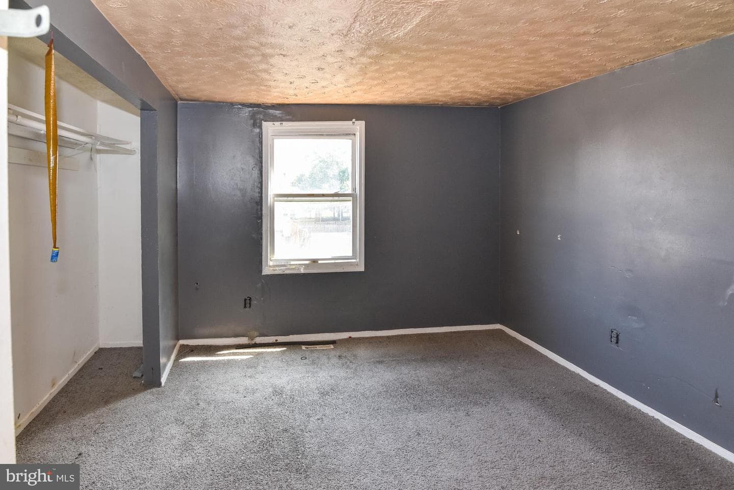 1063 W Lexington Street photo 19