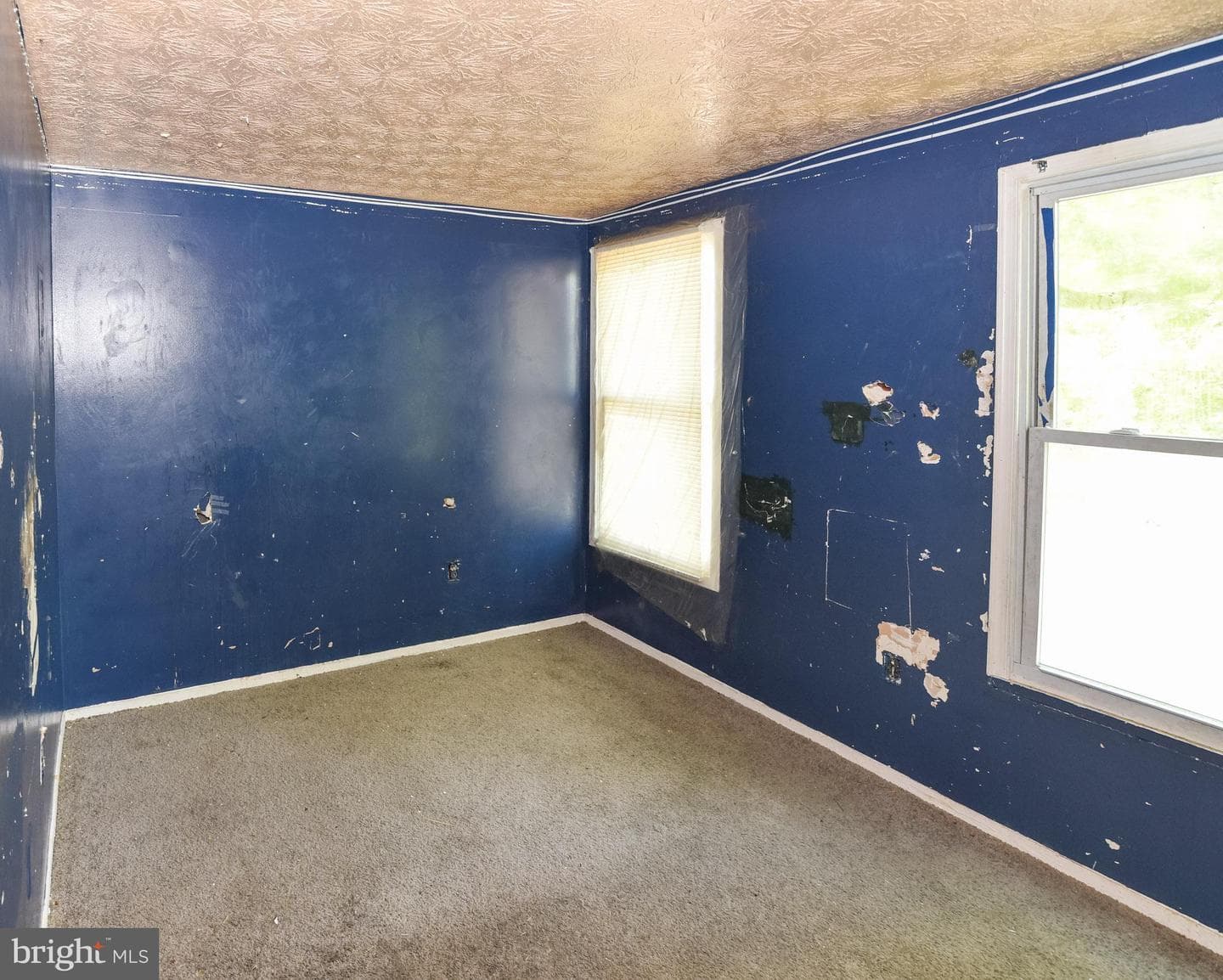 1063 W Lexington Street photo 22