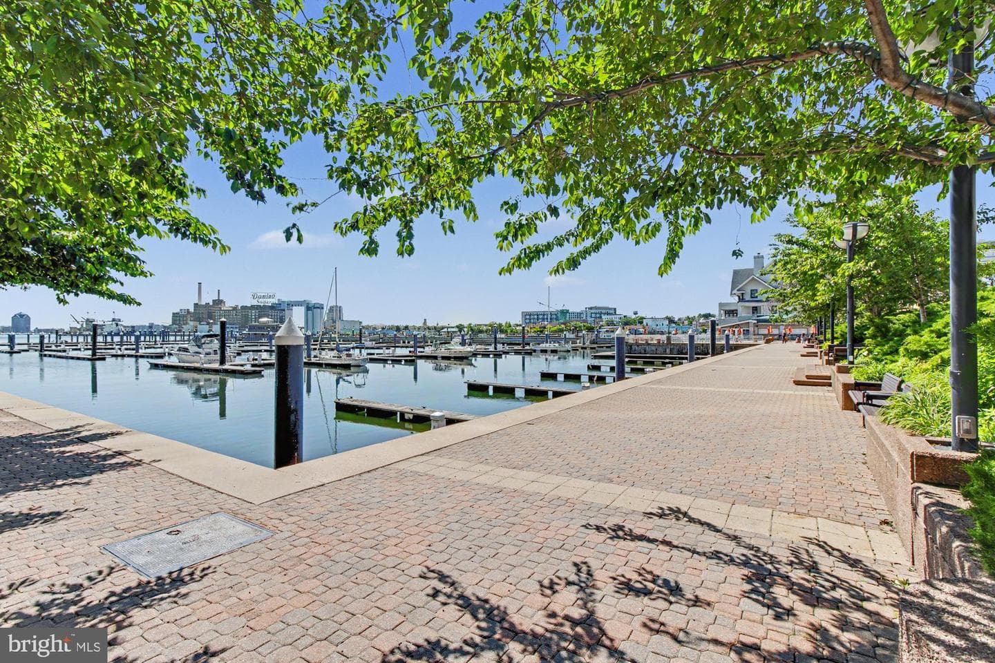 100 Harborview Drive #705 photo 54