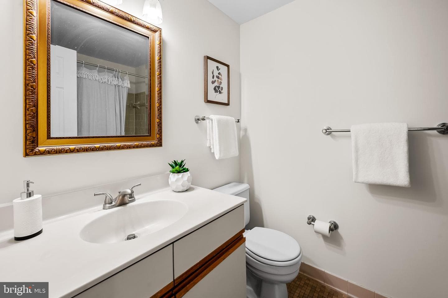 123 W Barre Street W #402 photo 17