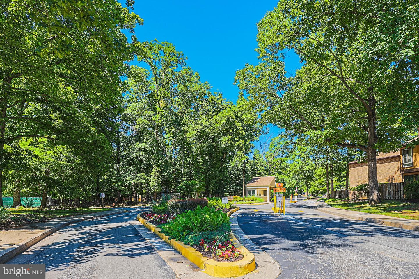 6343 Red Cedar Place photo 15