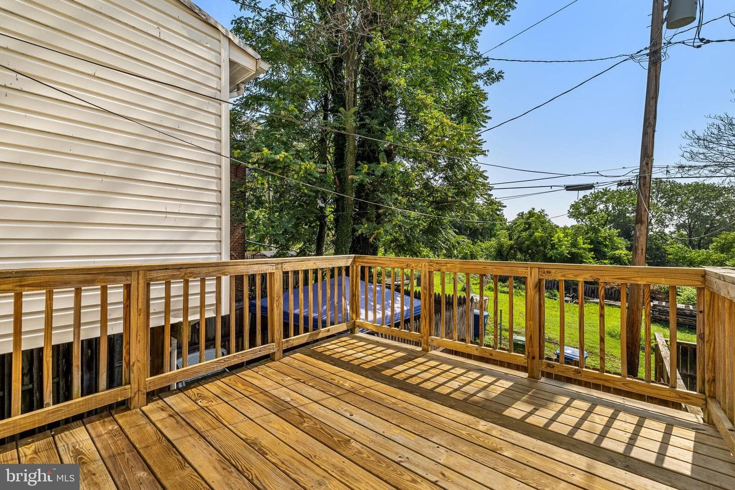 317 Font Hill Avenue photo 11
