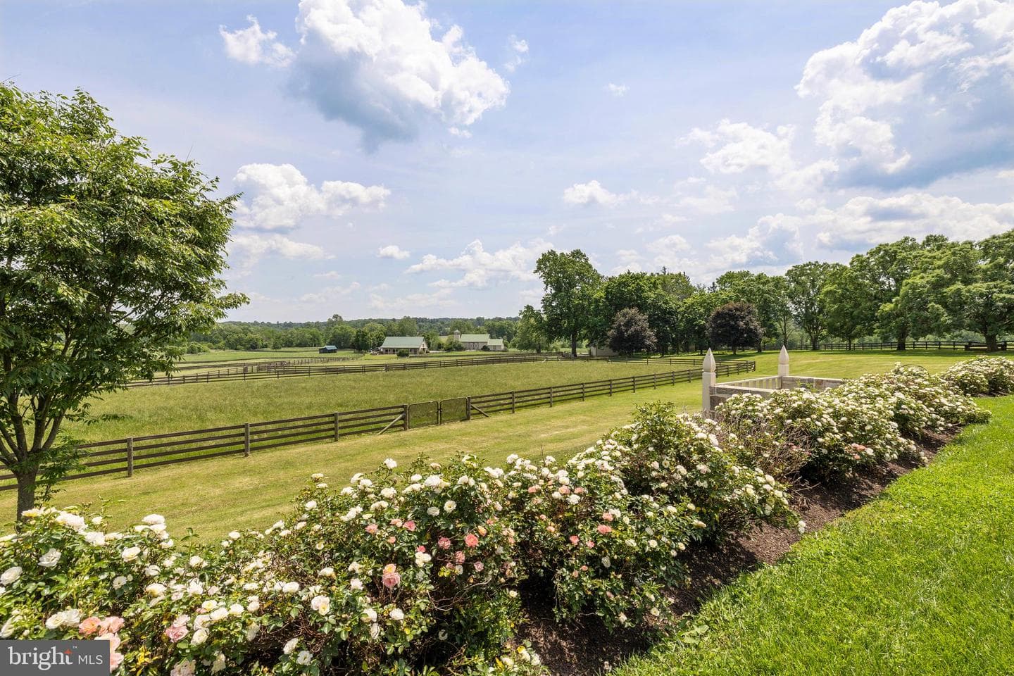 14111 Green Road photo 103