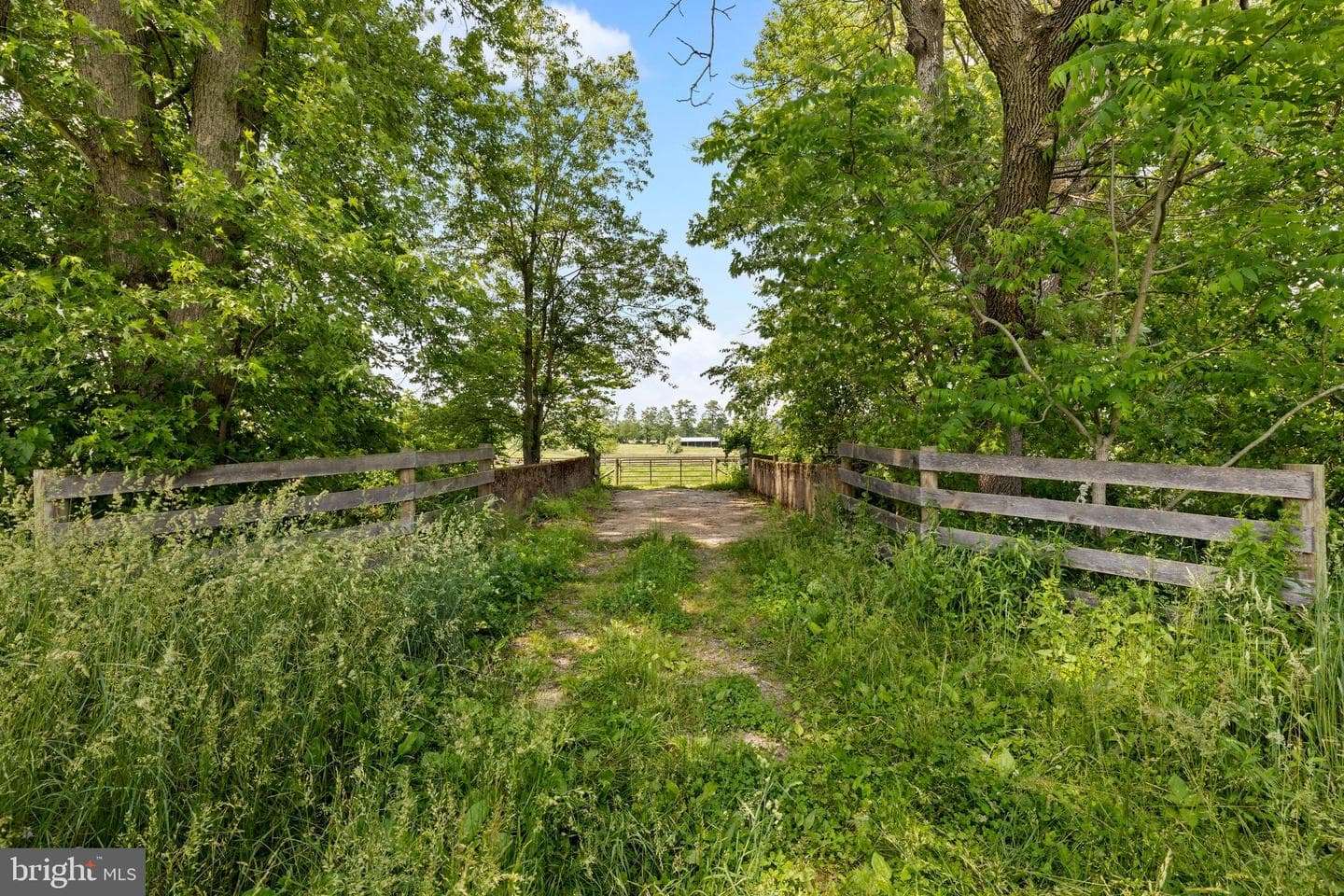 14111 Green Road photo 142