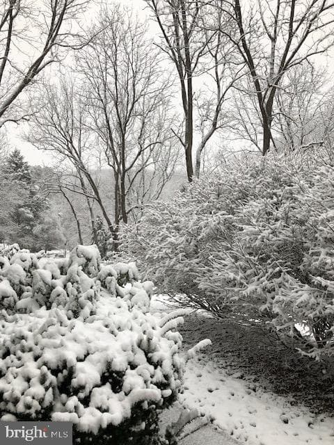 8911 Dogwood Road photo 58