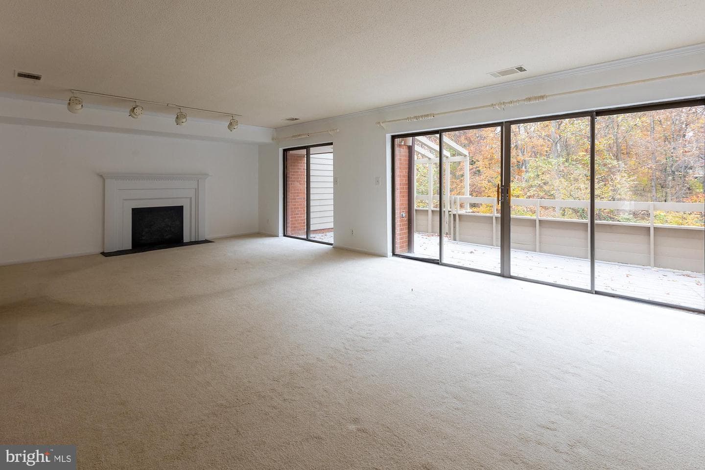 231 Deer Fox Lane photo 4