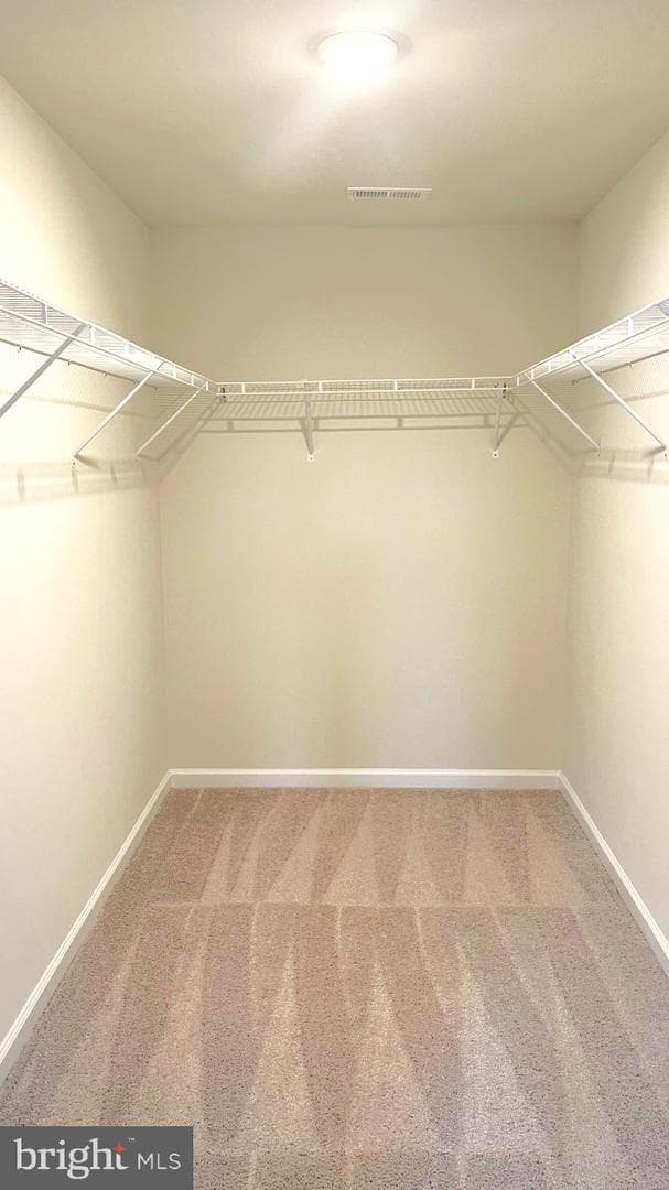 3404 Tali Drive photo 15