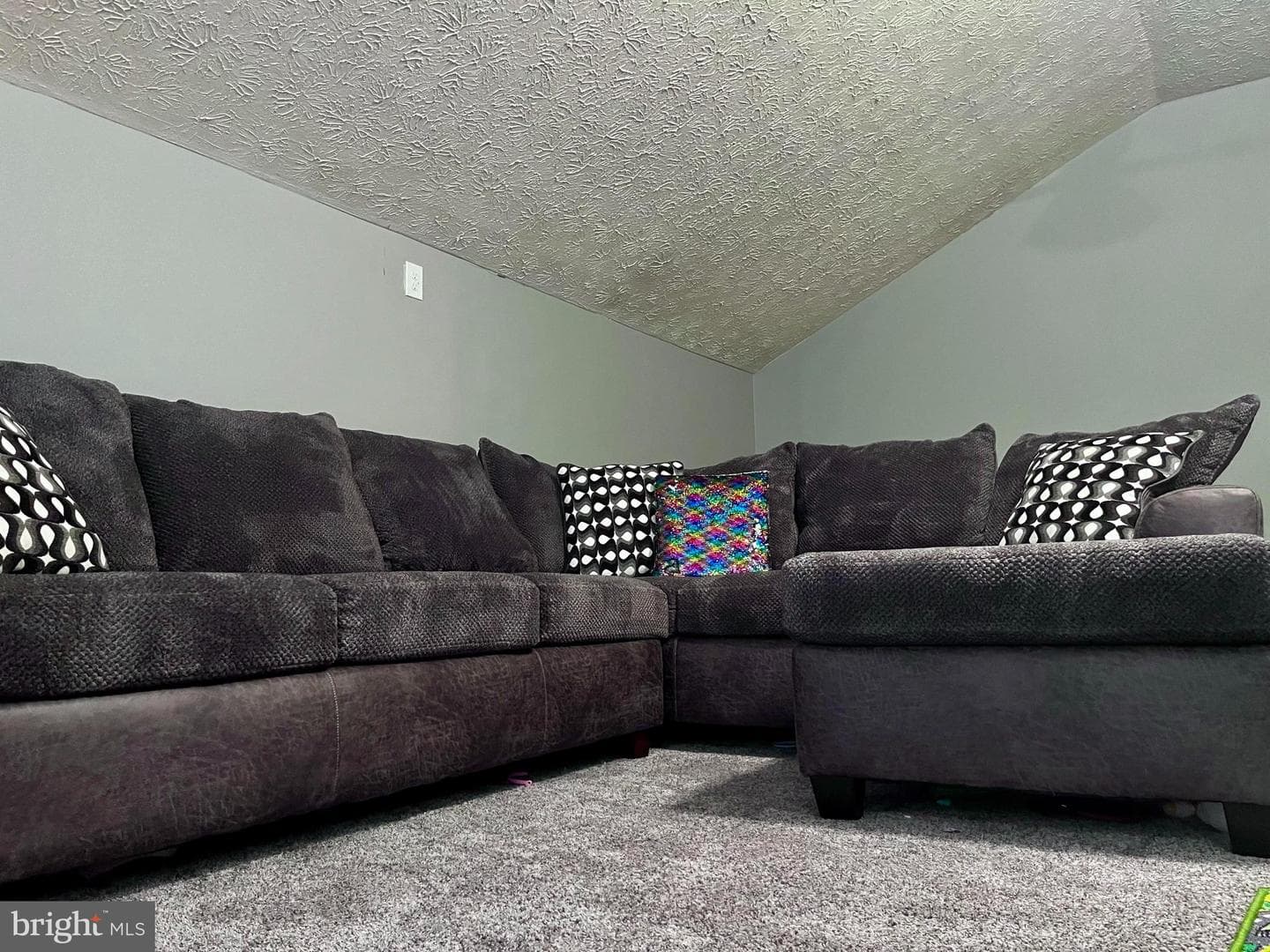 5162 Brightleaf #5162 photo 11
