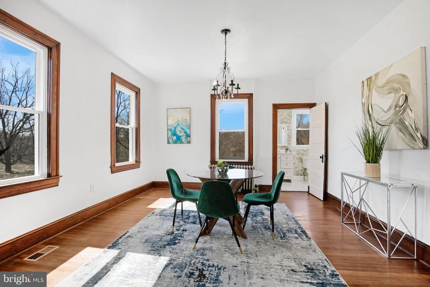 106 Maple Avenue photo 48