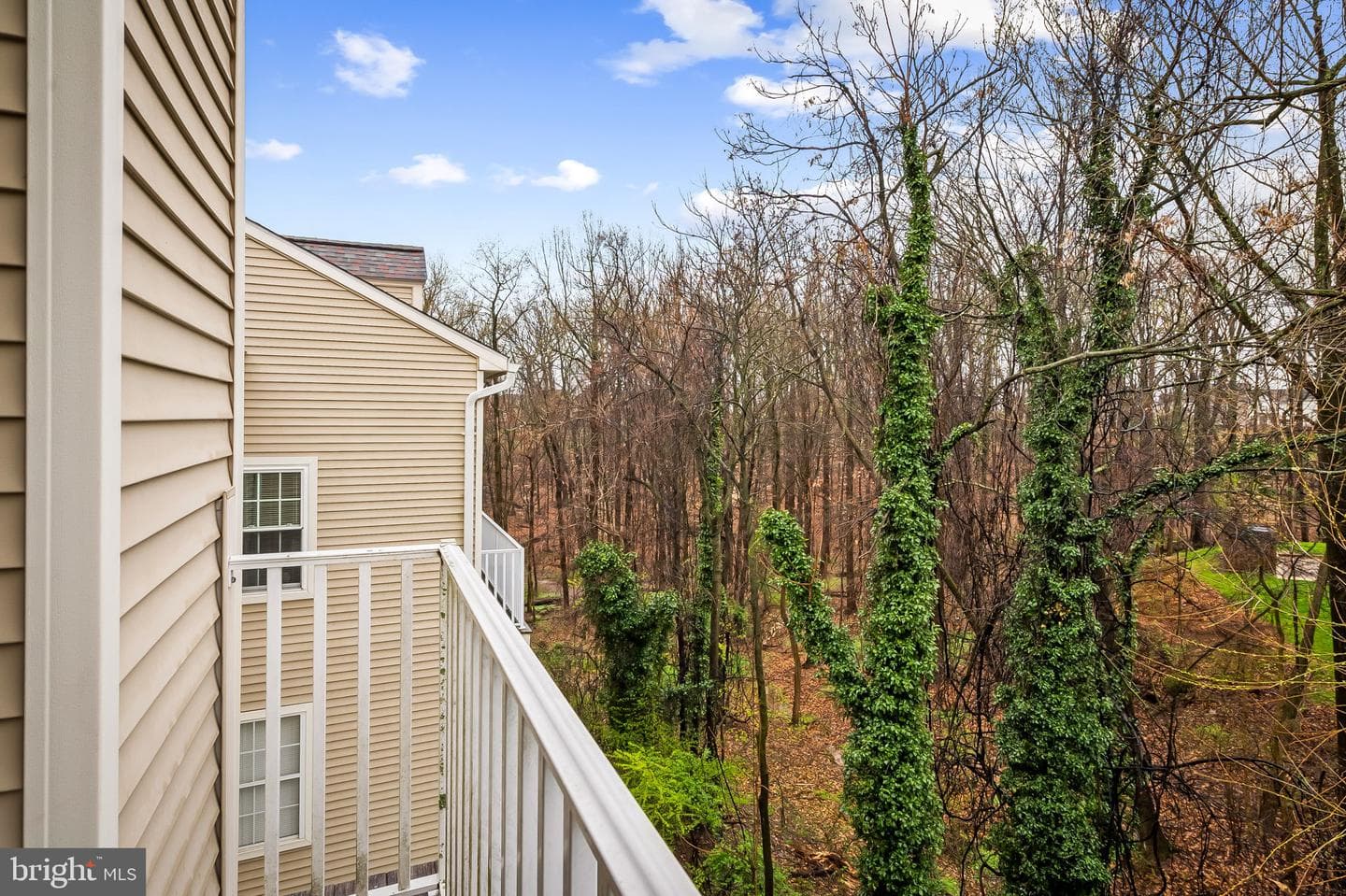 2203 Falls Gable Lane #b photo 34