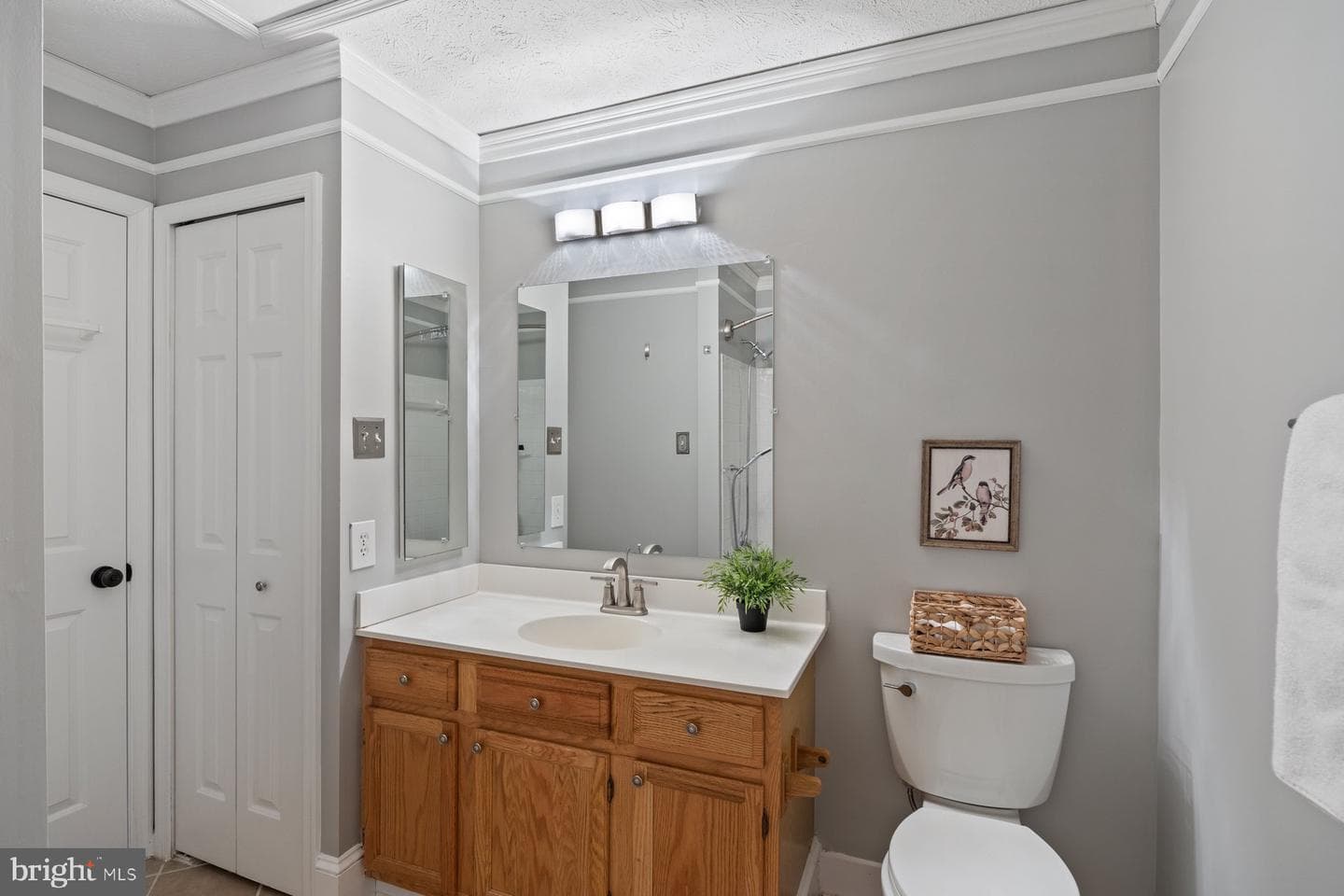 8 Milkwood Court photo 25