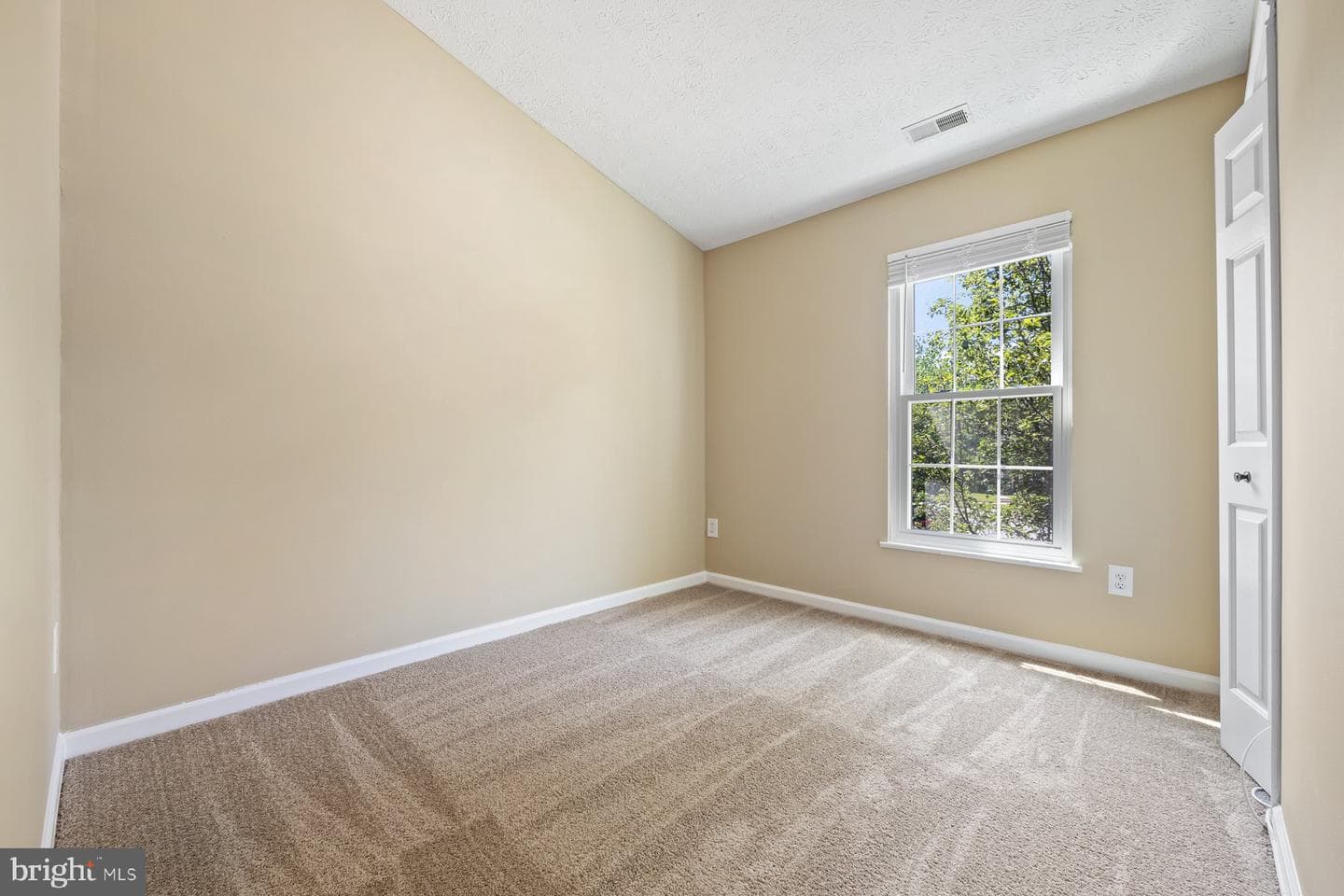 8 Milkwood Court photo 29