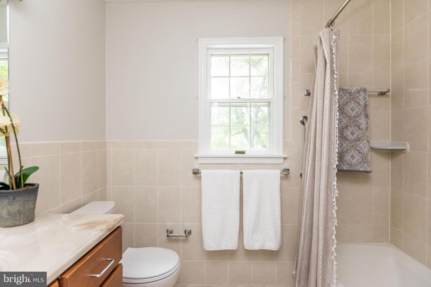 9 Chesterfield Court photo 24
