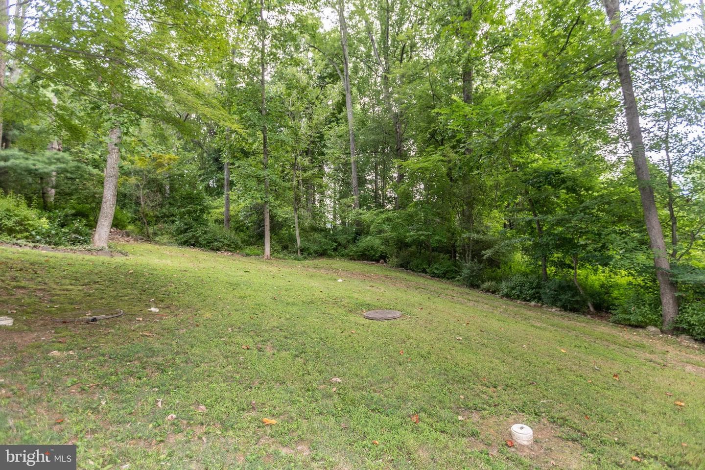9 Chesterfield Court photo 44