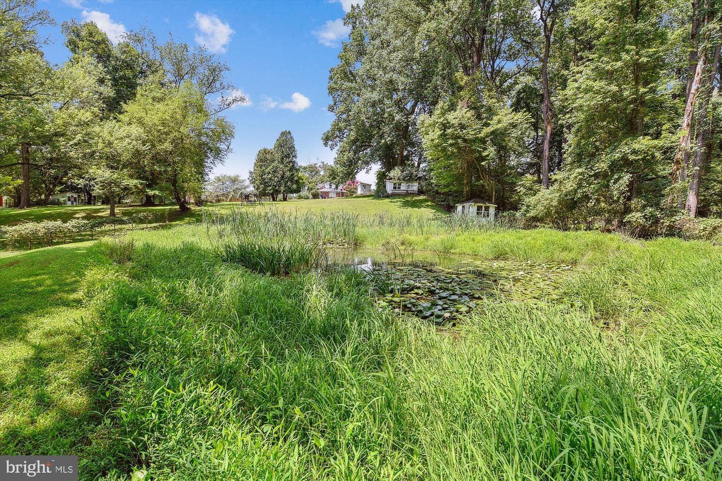 12127 Park Heights Avenue photo 31