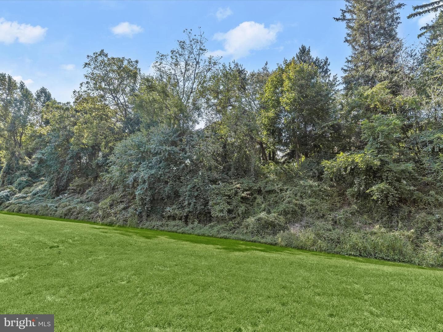 208 Castletown Road photo 50