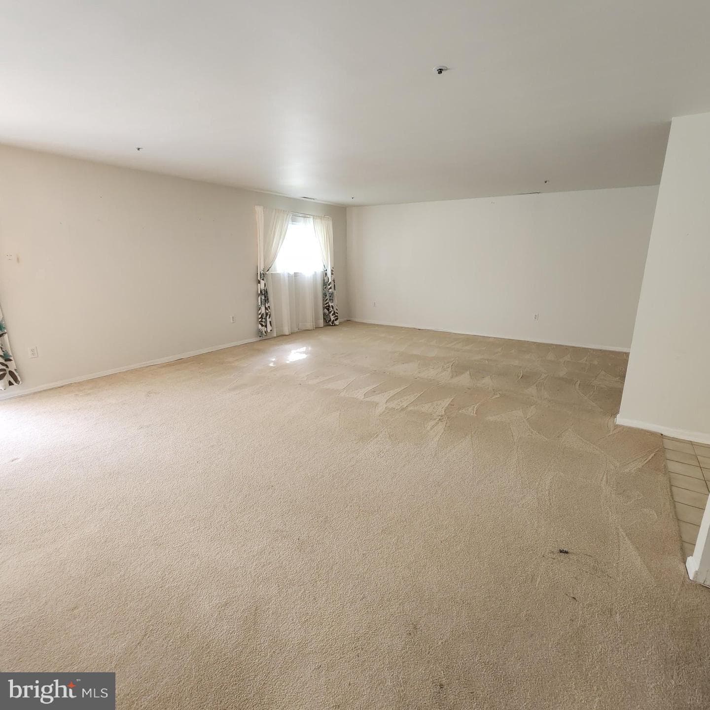 3802 Wean #f photo 10