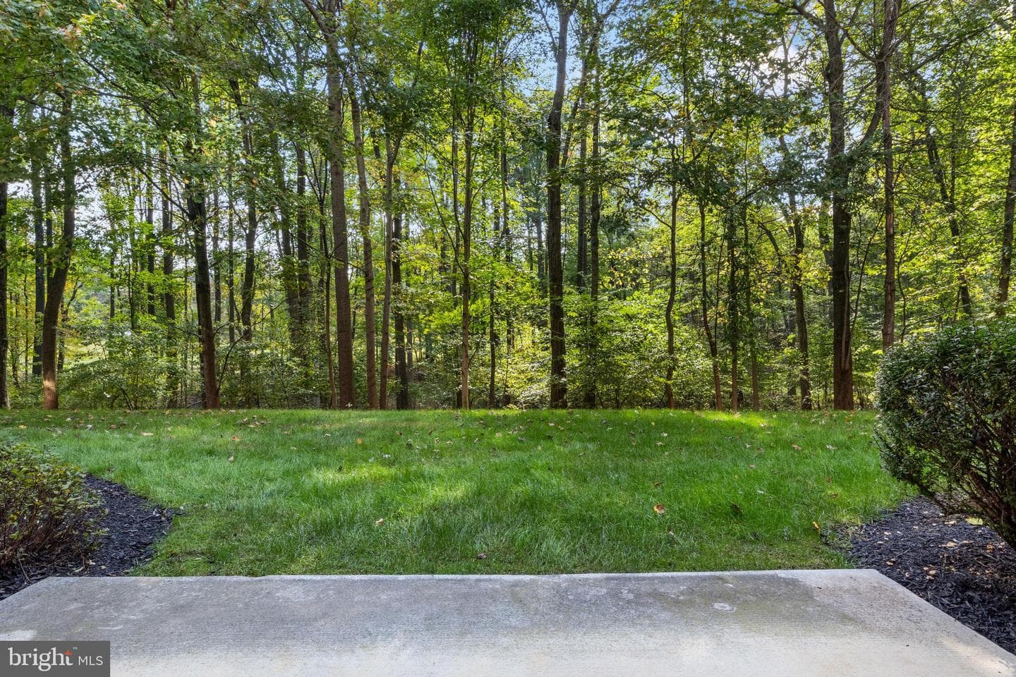 12105 Tullamore Court #103 photo 6