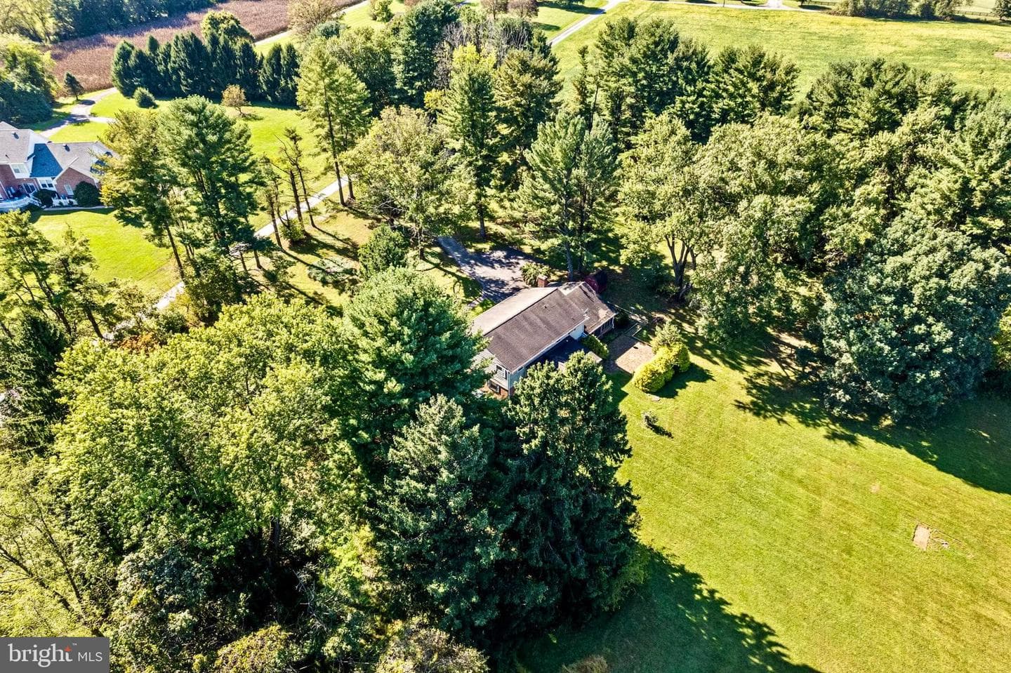 16113 Markoe Road photo 54