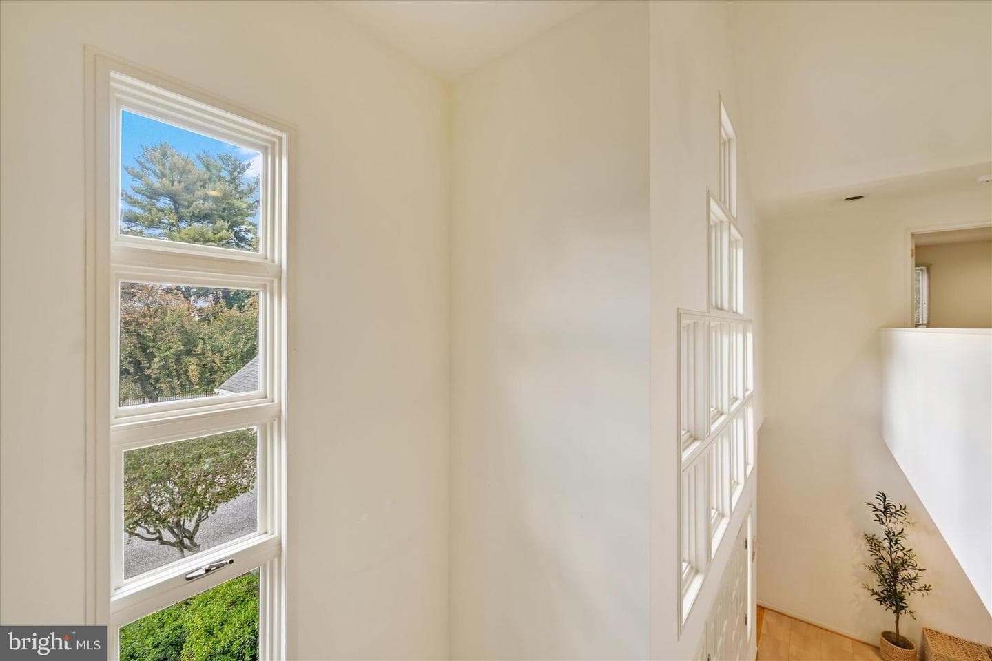 1 Ruxton Green Court photo 39