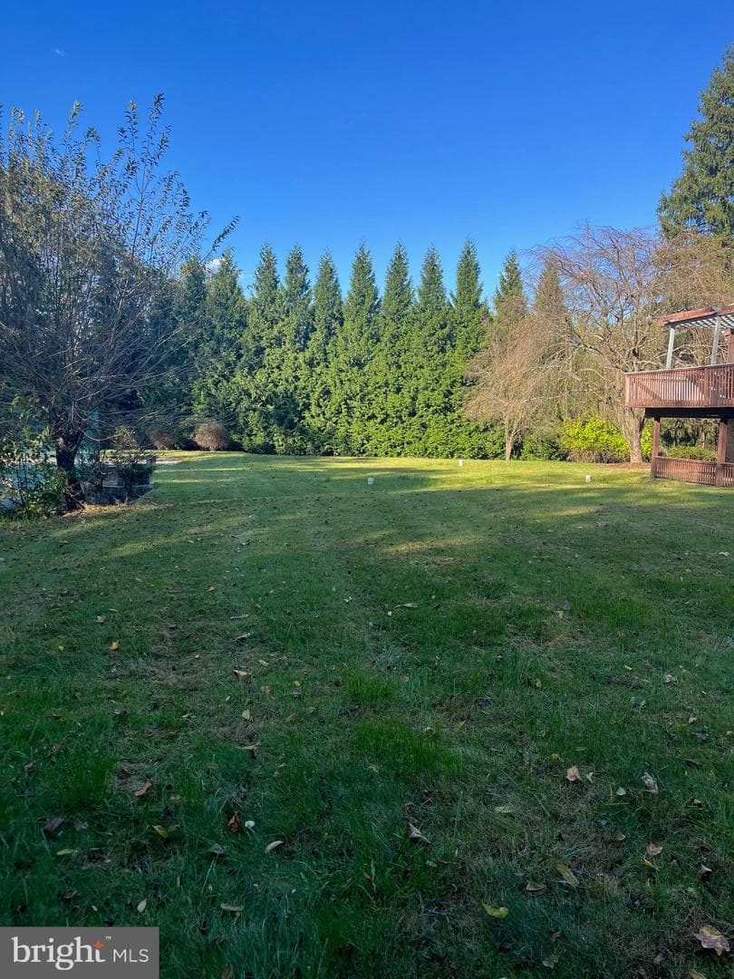 4302 Crab Orchard Road photo 4