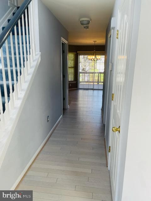 6 Williams Court photo 2