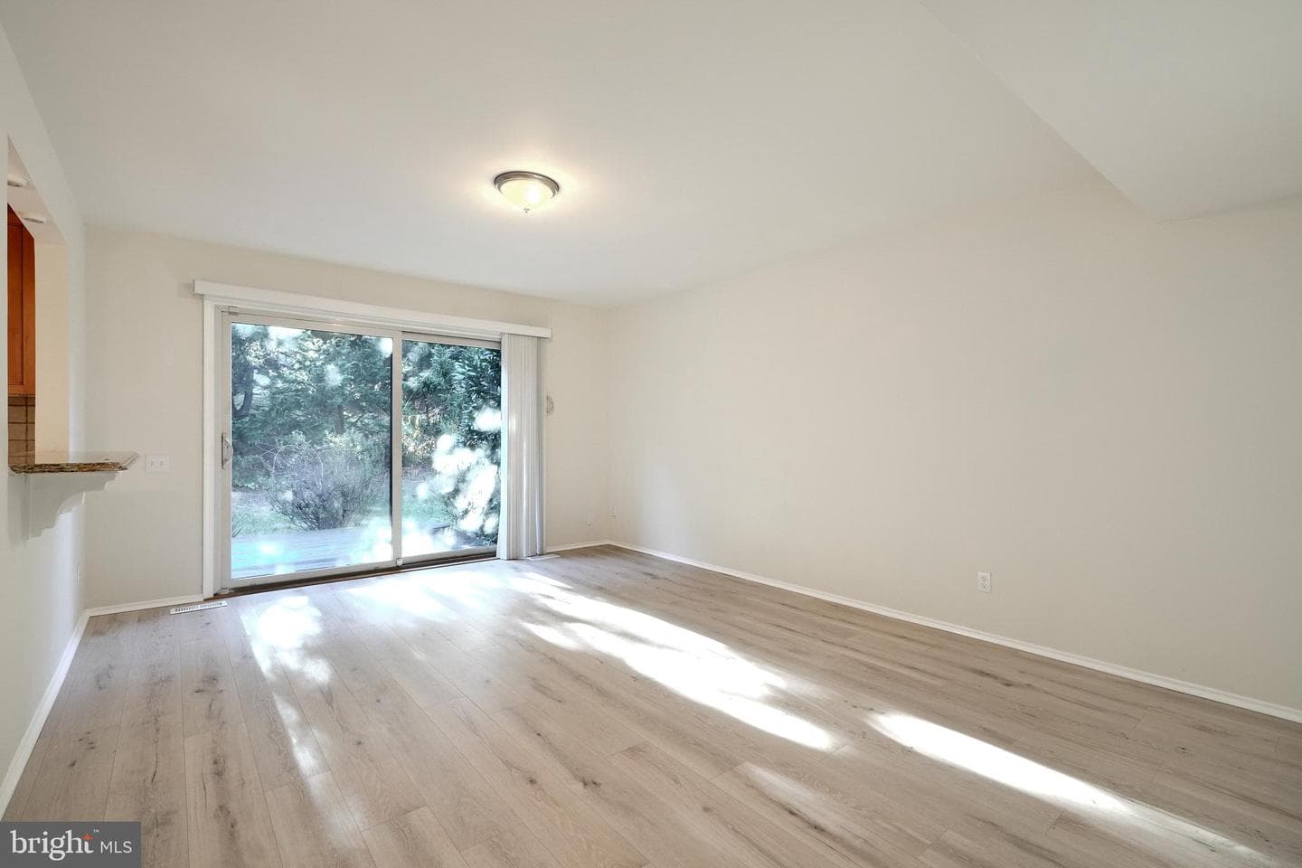12118 Velvet Hill Drive photo 19