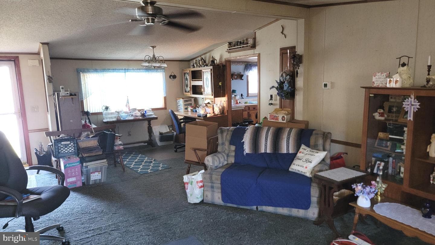 38 Tearose Dr photo 19