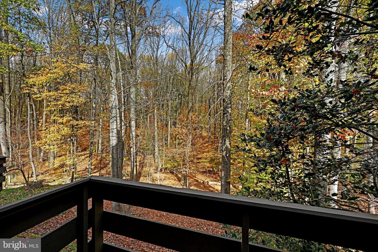 216 Beech View Court #36 photo 17