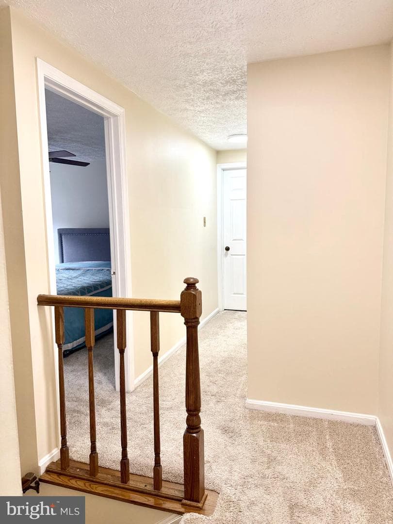 9 Hickory Ridge Court photo 16