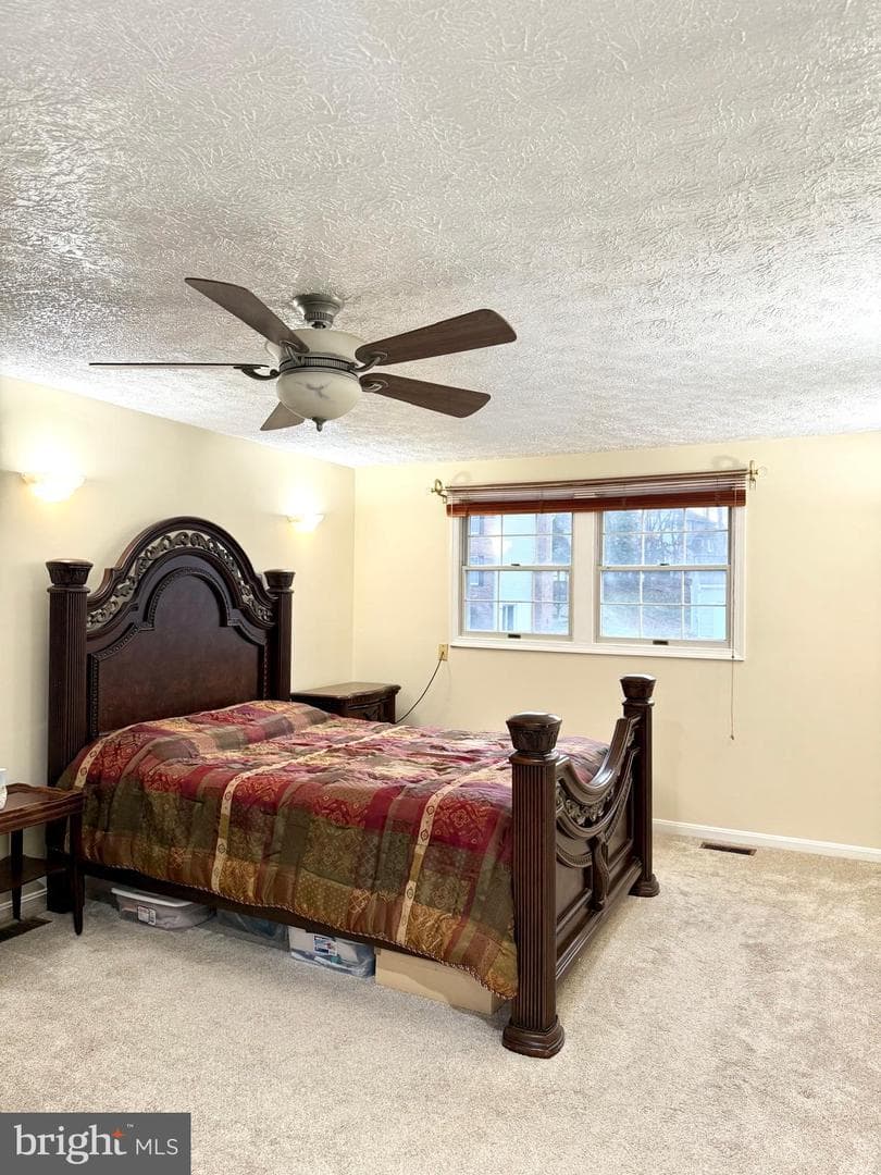 9 Hickory Ridge Court photo 17