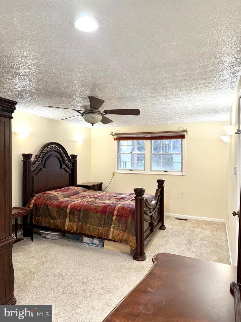 9 Hickory Ridge Court photo 18