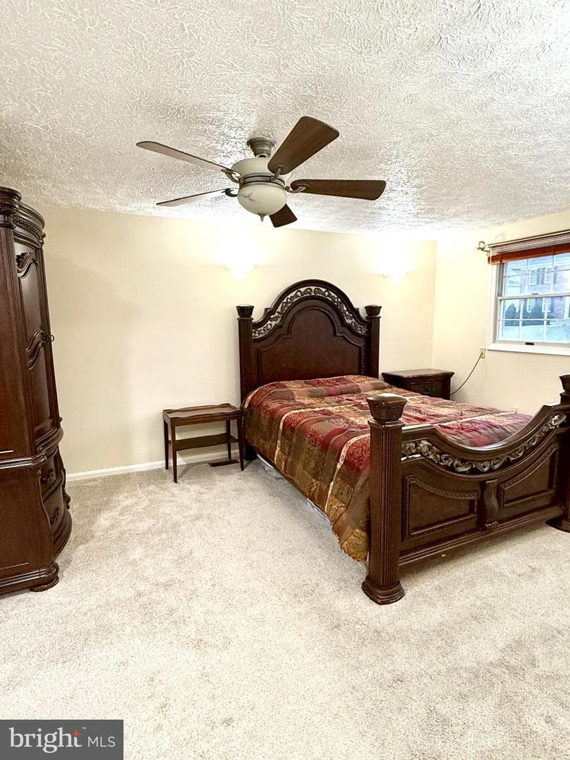 9 Hickory Ridge Court photo 19