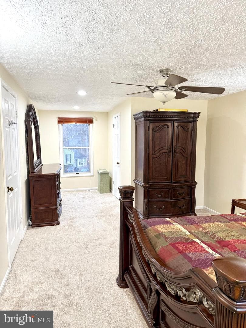 9 Hickory Ridge Court photo 20