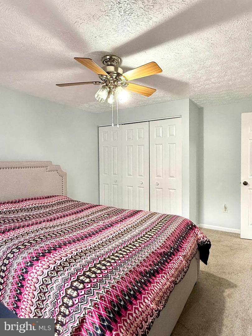9 Hickory Ridge Court photo 22