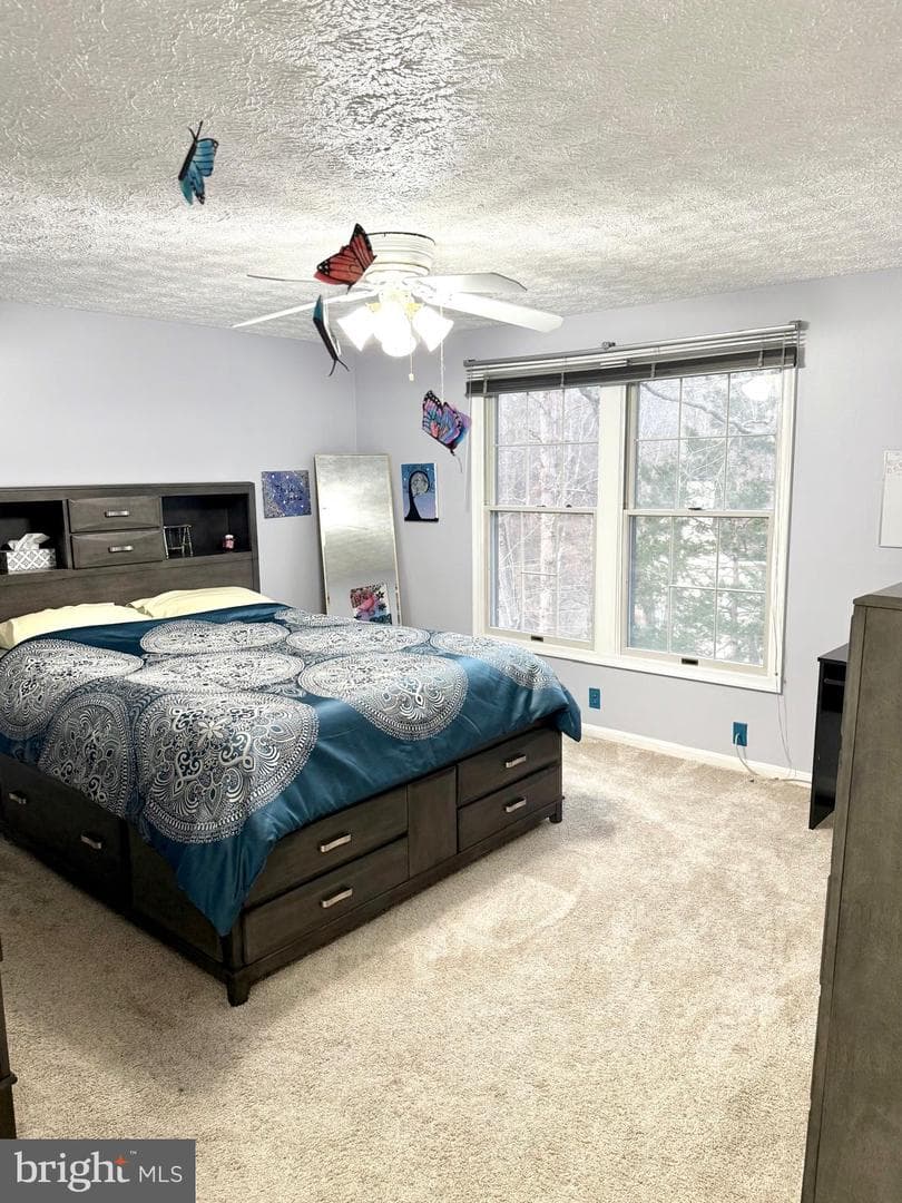 9 Hickory Ridge Court photo 23