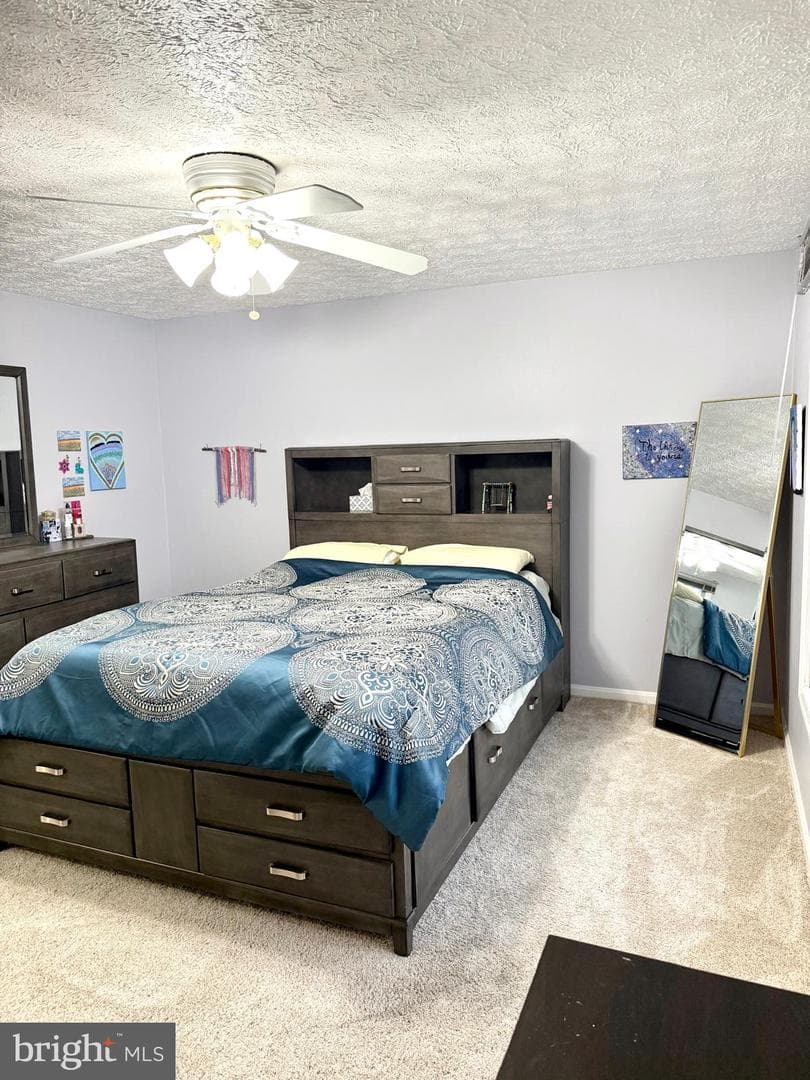 9 Hickory Ridge Court photo 24