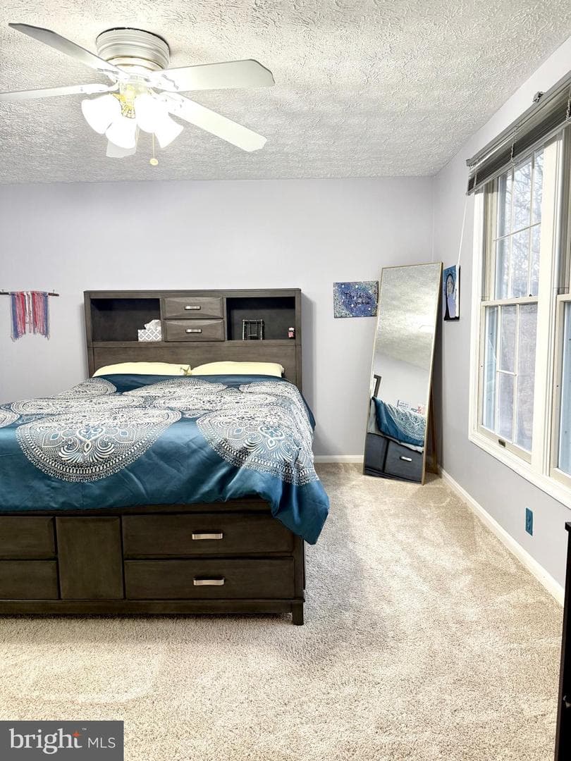 9 Hickory Ridge Court photo 25