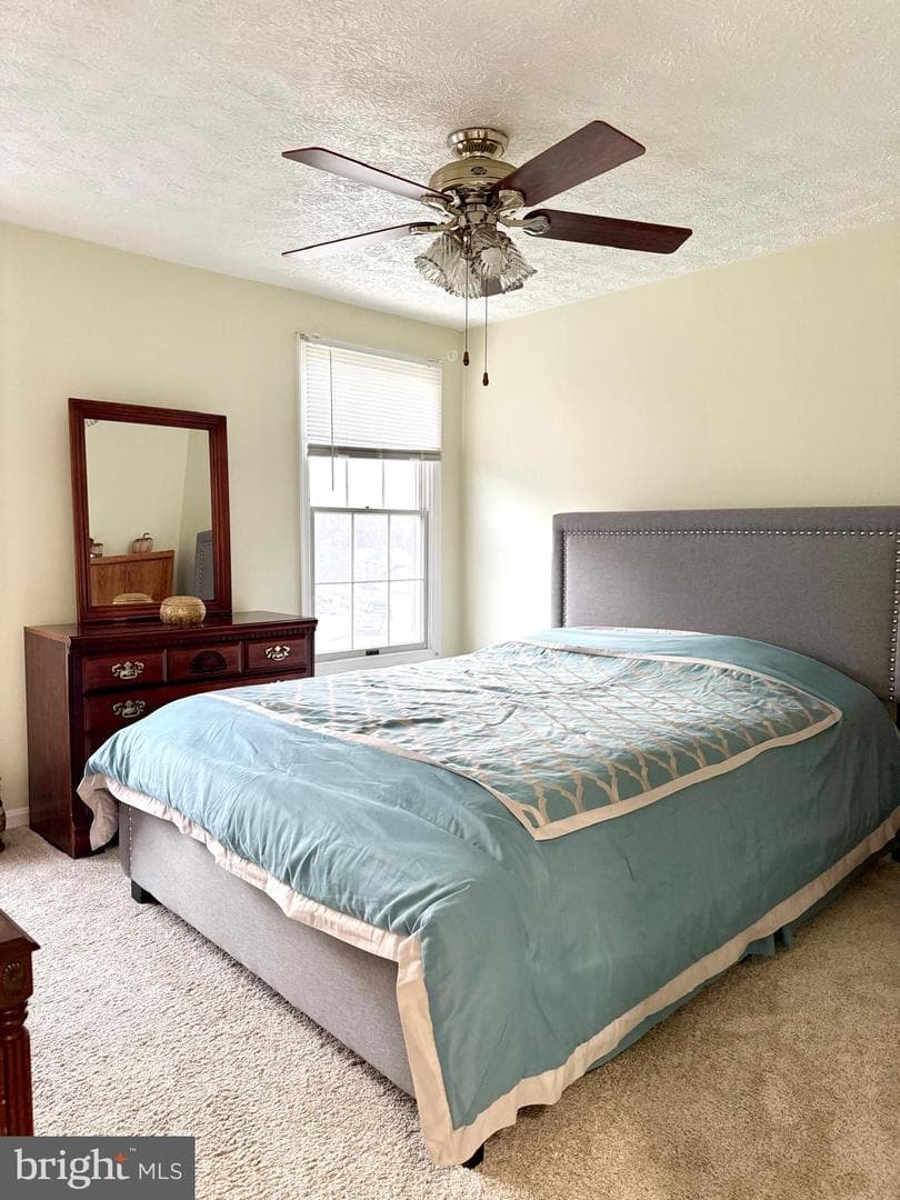 9 Hickory Ridge Court photo 26