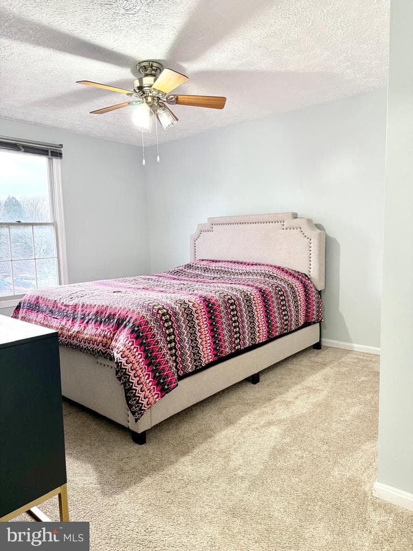 9 Hickory Ridge Court photo 27